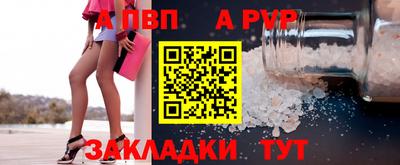 стаф Кунгур