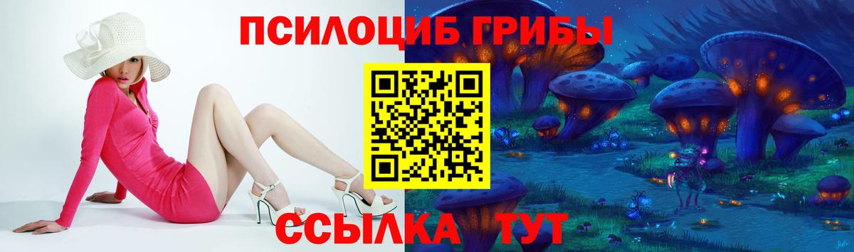 Чистополь  купить наркотик  Вход с VPN  Галлюциногенные грибы Cubensis 